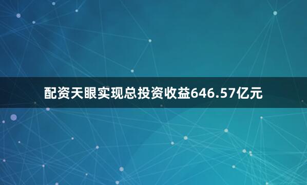 配资天眼实现总投资收益646.57亿元